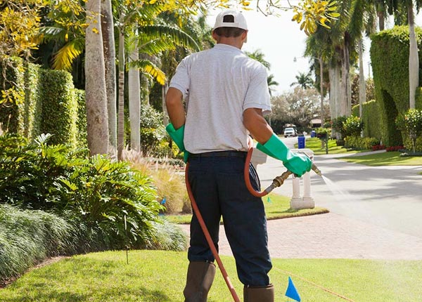 About Gould City MI Pest Control